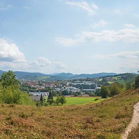 Nr 7, Typ B, Jaegerpark, Bayerischer Wald Tatil Evi *