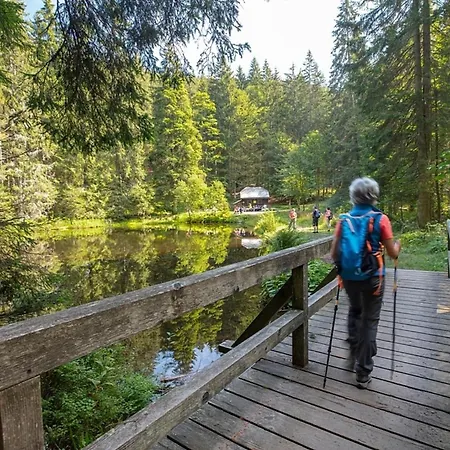 Feriehus Nr 7, Typ B, Jaegerpark, Bayerischer Wald *