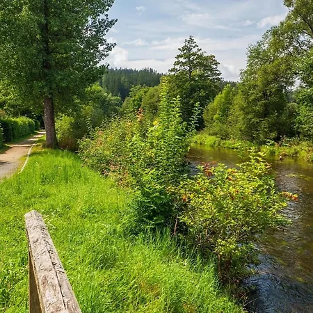 Nr 7, Typ B, Jaegerpark, Bayerischer Wald Feriehus *