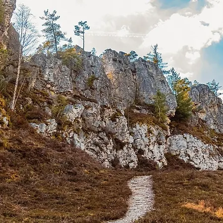 Nr 7, Typ B, Jaegerpark, Bayerischer Wald *
