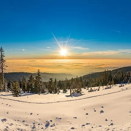 Nr 7, Typ B, Jaegerpark, Bayerischer Wald