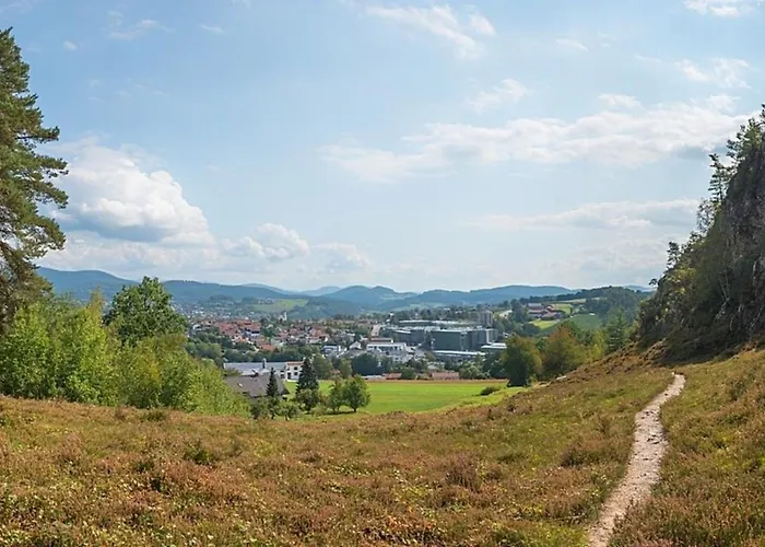 Nr 7, Typ B, Jaegerpark, Bayerischer Wald Feriehus *