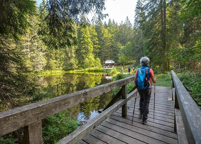 Feriehus Nr 7, Typ B, Jaegerpark, Bayerischer Wald *