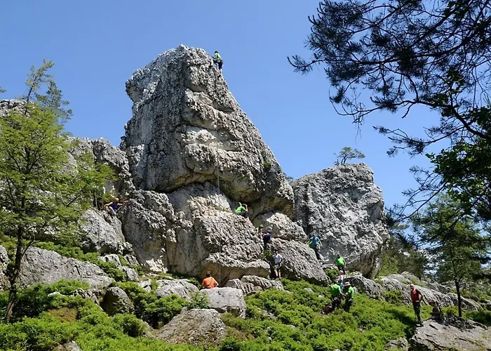 Nr 7, Typ B, Jaegerpark, Bayerischer Wald Viechtach
