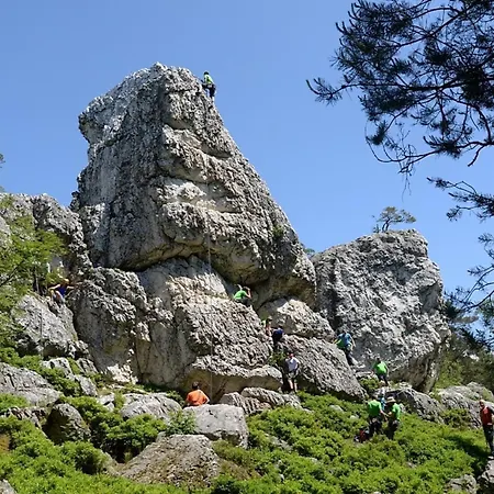 Nr 7, Typ B, Jaegerpark, Bayerischer Wald فيشتاخ