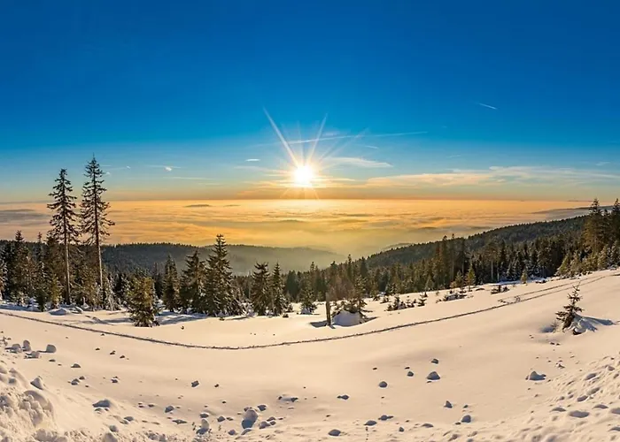 Nr 7, Typ B, Jaegerpark, Bayerischer Wald